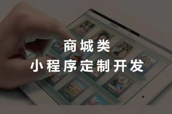 专业电商小程序开发公司：上海商家数字化转型首选